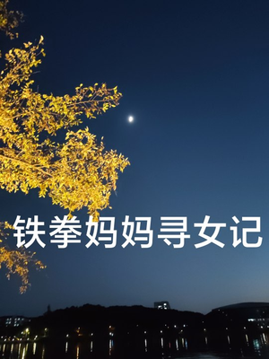 铁拳妈妈寻女记(69集) 铁拳妈妈寻女记(69集)UC网盘在线看