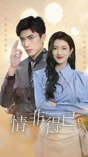 情非得已(60集) 情非得已(60集)全部免费看全集