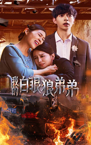 我的白眼狼弟弟(69集) 我的白眼狼弟弟(69集)热播短剧免费看