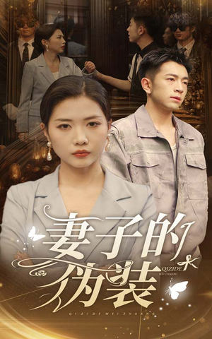 妻子的伪装(30集) 妻子的伪装(30集)百度网盘资源