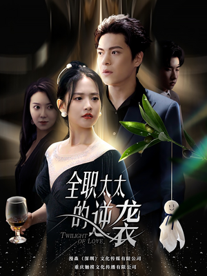 全职太太的逆袭(80集) 全职太太的逆袭(80集)短剧上热门