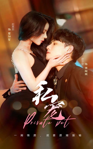 私宠(94集) 私宠(94集)热门火爆短剧