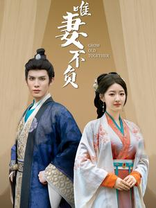 唯妻不负(80集) 唯妻不负(80集)西瓜短剧免费看