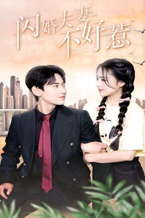 闪婚夫妻不好惹(90集) 闪婚夫妻不好惹(90集)短剧推荐分享