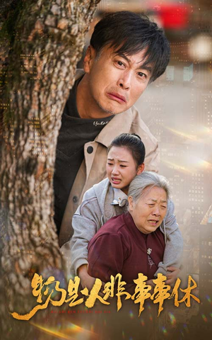 物是人非事事休（41集）番茄短剧看全集