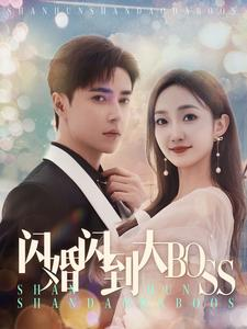 闪婚闪到大BOOS(76集) 闪婚闪到大BOOS(76集)短剧小说在线看