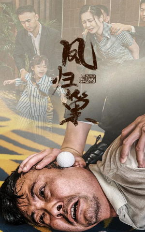 新版:凤归巢(68集) 新版:凤归巢(68集)免费看全集