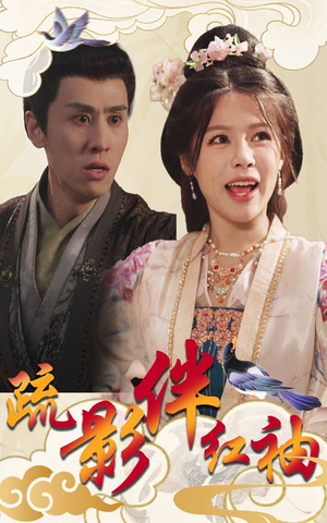 疏影伴红袖(40集) 疏影伴红袖(40集)真的太精彩了