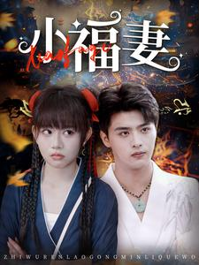 小福妻（62集）完整版