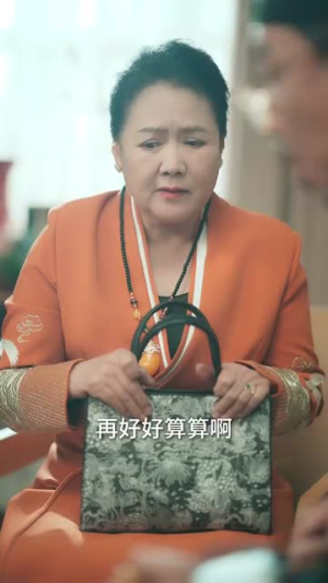 小锦鲤之我给全家送福气（72集）高清无码免费看