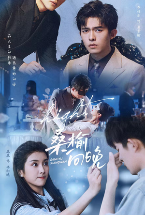 桑榆向晚（65集）追短剧看全集