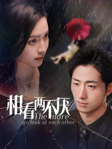 相看两不厌(80集) 相看两不厌(80集)在哪看免费