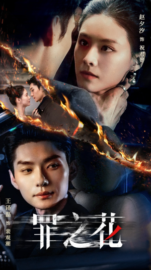 罪之花(56集) 罪之花(56集)抢先看新短剧
