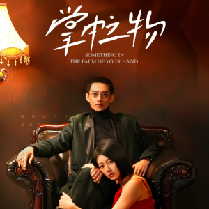 掌中之物(62集) 掌中之物(62集)大结局