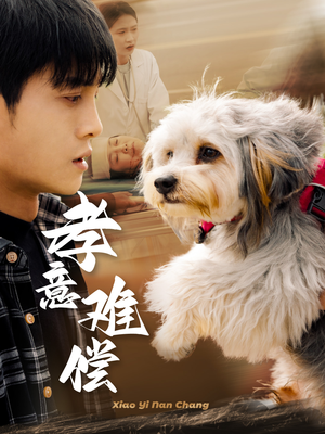 孝意难偿(32集) 孝意难偿(32集)精彩不断免费看