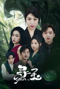 寻玉(77集) 寻玉(77集)红果短剧看全集