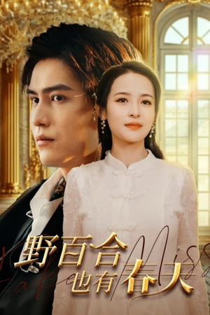 野百合也有春天(85集) 野百合也有春天(85集)剧好看短剧推荐