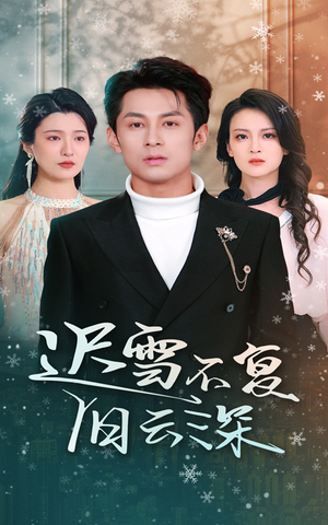 迟雪不复旧云深(45集) 迟雪不复旧云深(45集)第三季