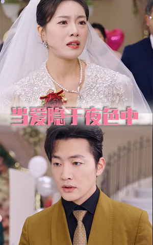 当爱隐于夜色中(37集) 当爱隐于夜色中(37集)网络小短剧