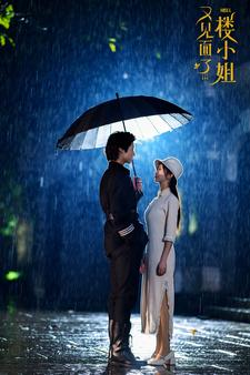 又见面了楼小姐(68集) 又见面了楼小姐(68集)全集一网打尽