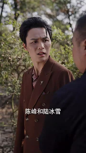 又是一出好戏（60集）深深爱上这部剧