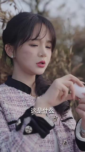 岛上升明月(60集) 岛上升明月(60集)在哪看免费