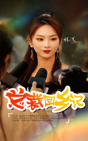 总裁回乡记(67集) 总裁回乡记(67集)一口气追完短剧