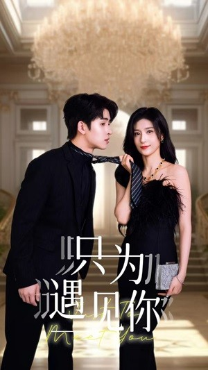 只为遇见你（88集）红果短剧看全集