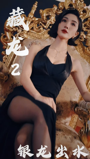 藏龙2银龙出水(35集) 藏龙2银龙出水(35集)高分佳作免费看