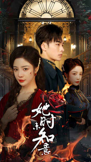 她时未知意（70集）海量短剧免费看