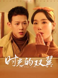 时光的双翼(94集) 时光的双翼(94集)经典回顾免费看