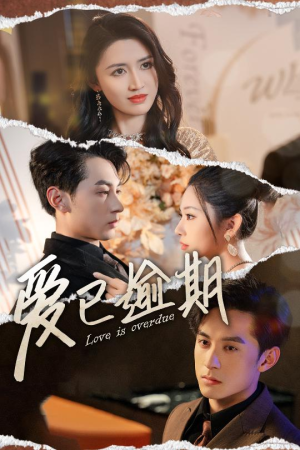 爱已逾期（50集）在哪里看