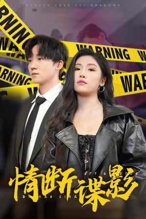 我的特工老婆（30集） 原创精彩短剧