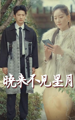 晚来不见星月(40集)  晚来不见星月(40集) 高清画质免费看