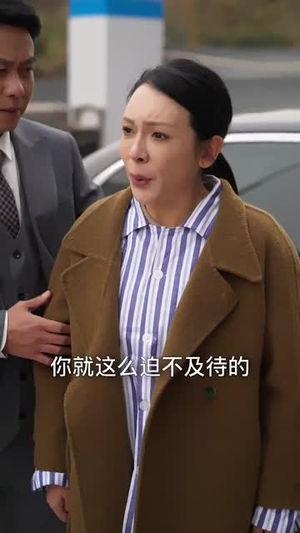 中年离婚后她名动商界（30集） 免费版