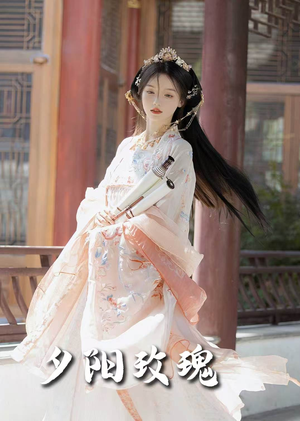 夕阳玫瑰(105集)  夕阳玫瑰(105集) 第一集