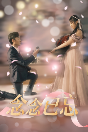 念念已忘（30集） 完整版免费观看