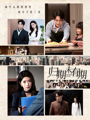 归期未有期(60集)  归期未有期(60集) 短剧在哪里看