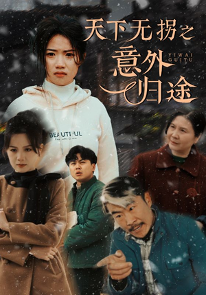 天下无拐之意外归途(61集)  天下无拐之意外归途(61集) 网盘在线观看