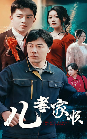 儿孝家顺(78集)  儿孝家顺(78集) 1-102集