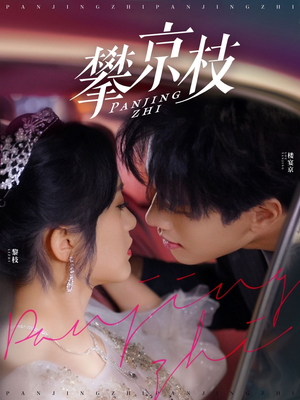 攀京枝(80集)  攀京枝(80集) 短剧也太好看了