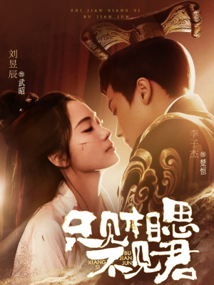 只见相思不见君(82集)  只见相思不见君(82集) 一口气看完全集