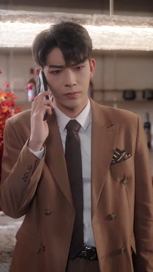 来不及说我爱你（86集） 热播短剧全集看