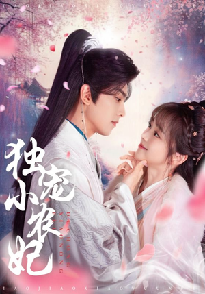 独宠小农妃(63集)  独宠小农妃(63集) 百度网盘资源