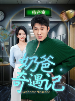 奶爸奇遇记(60集)  奶爸奇遇记(60集) 全集