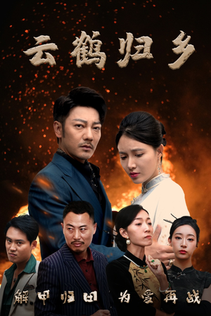 云鹤归乡（65集） 在哪个平台看好