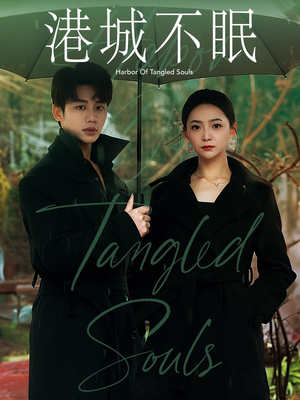 港城不眠(87集)  港城不眠(87集) 全集完整版