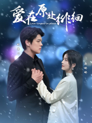 爱在原处徘徊(30集)  爱在原处徘徊(30集) 在哪里可以全集