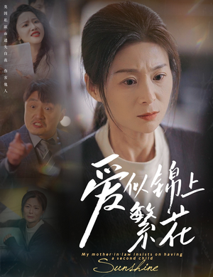 爱似锦上繁花（60集） 免费观看