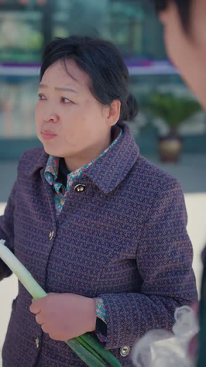 山鸡不是凤凰(52集) 山鸡不是凤凰(52集)短剧更新抢先看